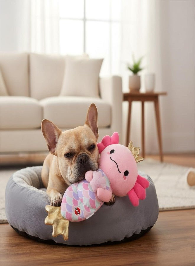 سبوت لعبة SPOT Axolotl Mermaid – لعبة كلاب قطيفة ناعمة مقاس 10 بوصات مع صفارة وذيل يصدر صوت خشخشة، مناسبة للكلاب الصغيرة والمتوسطة الحجم – درزات معززة – تصميم تاج وزعانف ذهبية لطيفة – مناسبة للكلاب التي تمضغ الأشياء برفق - Image 2